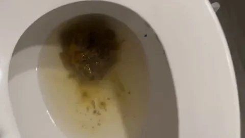 Kaitlyn Katsaros | Holy fuck lol