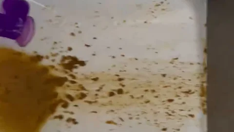 Kaitlyn Katsaros | My shit all over the shower lolll